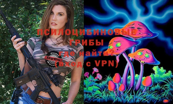крисы Абаза