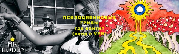 бошки Абдулино