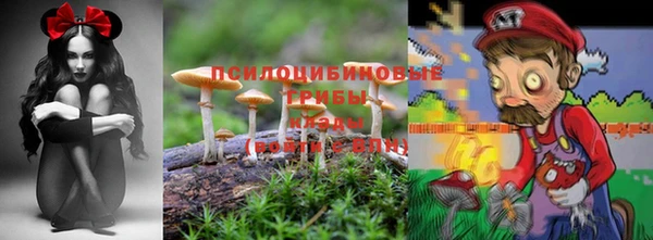 бошки Абдулино