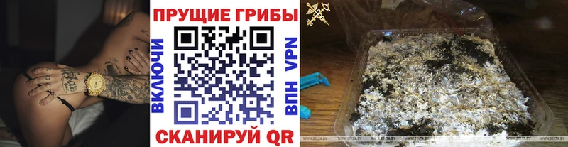 darknet телеграм  Екатеринбург  Галлюциногенные грибы GOLDEN TEACHER 