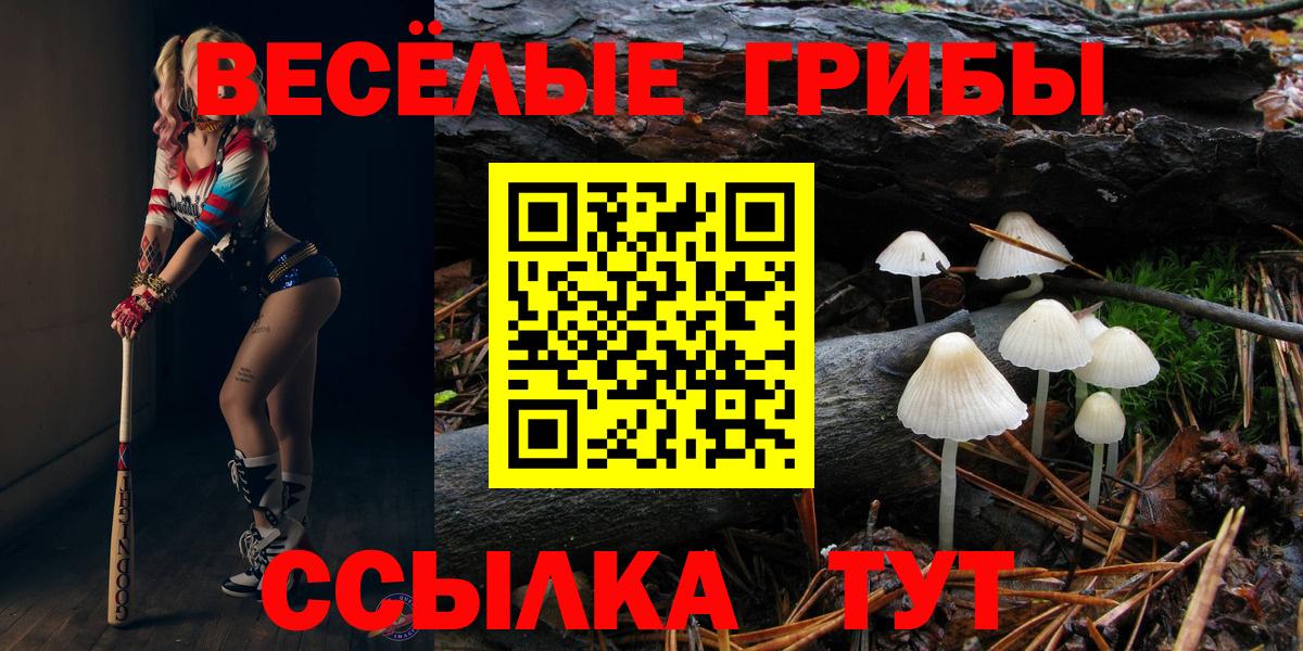Екатеринбург  Псилоцибиновые грибы Psilocybe  Вход с VPN 